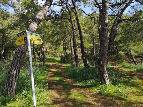 Likya Yolu (Çıralı – Olympos Parkuru)